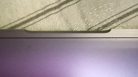 Alan online show from August 5, 1:49 pm