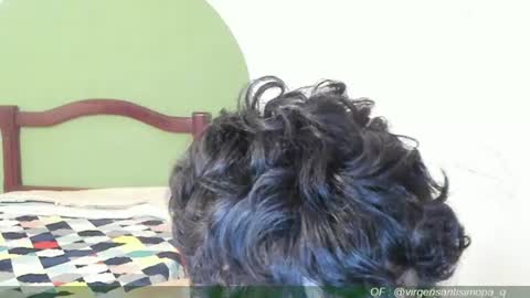 jair eduardo online show from July 22, 3:04 pm