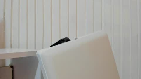_maximo_1 online show from June 26, 11:13 am
