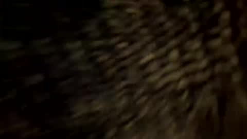 alx_xx online show from June 5, 12:04 am