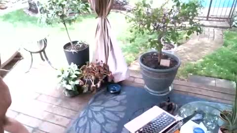 anoaklawnguy online show from May 18, 6:34 pm