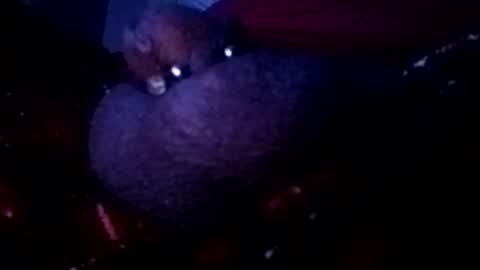 bcfalcon69 online show from May 14, 2:31 am