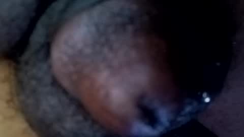 bcfalcon69 online show from April 30, 2:40 am