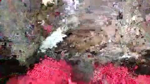 ToxicPipe757 online show from May 20, 5:19 pm