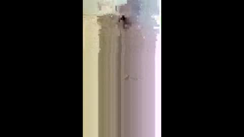 bigdick31589 online show from May 17, 2:31 am