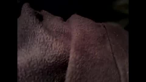 Bonkooooo online show from May 6, 10:43 pm