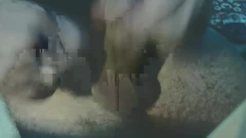 bossram160 online show from May 16, 3:43 pm