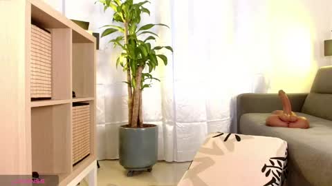 Bruno online show from May 16, 10:36 am
