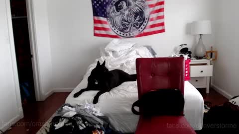 Crash Monroe online show from July 12, 10:56 pm