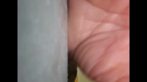 cummachine2022 online show from May 11, 12:51 pm
