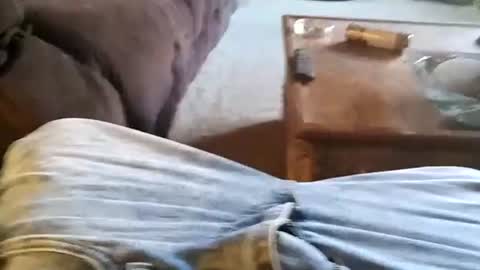 daddysthickbwc8in4u online show from November 6, 2:09 pm
