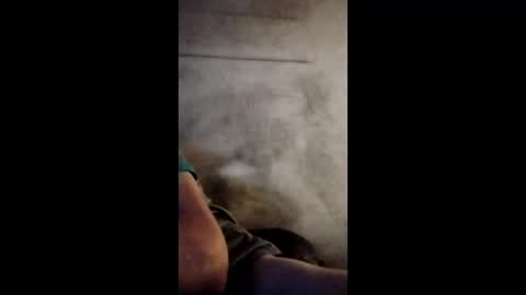 danicrss8 online show from May 2, 2:58 am