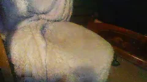 Danielle online show from August 4, 5:50 pm