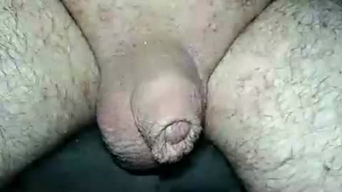 dapppper online show from August 5, 1:43 am