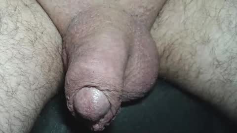 dapppper online show from August 7, 5:03 am