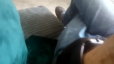 daveseventyfive online show from July 20, 11:34 am