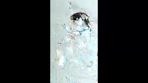 Dazzill online show from May 24, 4:57 pm