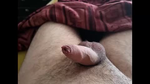 LilRoach online show from May 29, 1:43 pm