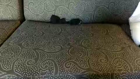 DirtyDanny online show from June 16, 1:30 am
