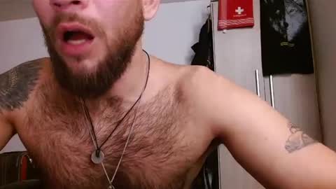 Logan - INDEPENDET MODEL online show from July 15, 10:22 am