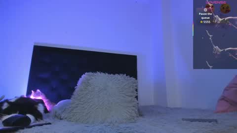 Enzo online show from April 26, 8:49 pm