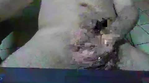 erik1781 online show from May 10, 6:04 am