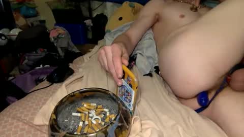 Squirrel twink online show from May 11, 3:41 am