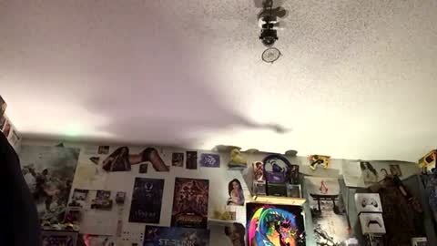 Fabian online show from July 29, 6:56 am