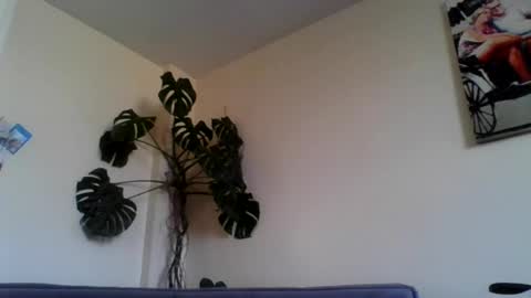 funn333funn444 online show from July 10, 6:54 pm