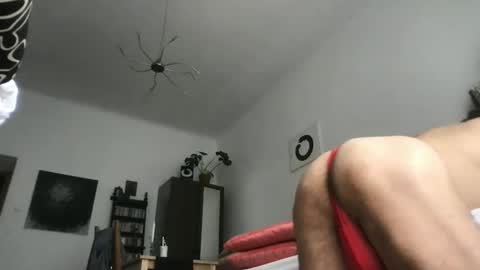gay_pole online show from June 5, 7:03 am