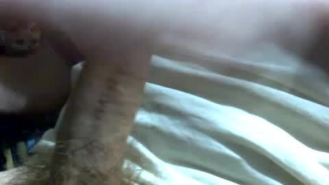 PencilDick online show from July 23, 8:44 am