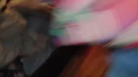h0tc0ck9000 online show from June 5, 10:54 am