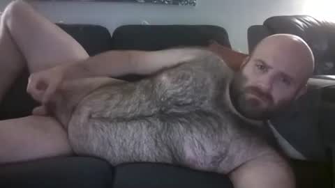 Hairiest Bear online show from May 31, 8:48 am
