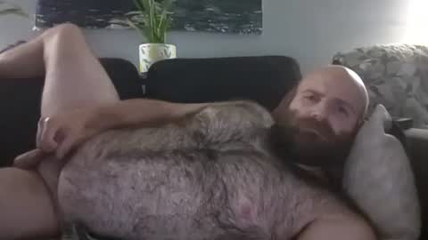 Hairiest Bear online show from August 9, 5:24 am