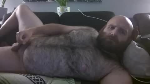 Hairiest Bear online show from August 3, 2:43 am