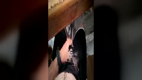harvcums online show from June 26, 1:46 pm