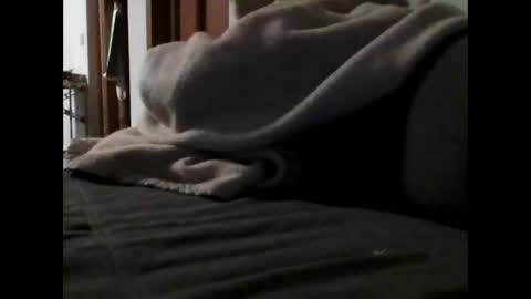 havier282874 online show from May 2, 7:49 pm