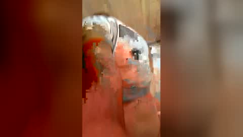 horny771202 online show from May 29, 5:34 pm