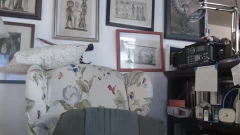 ImYourBitch online show from May 17, 5:42 pm
