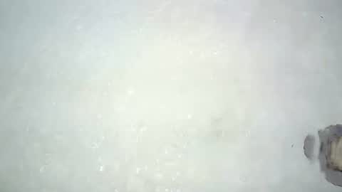 Bootyshows online show from July 17, 1:02 am