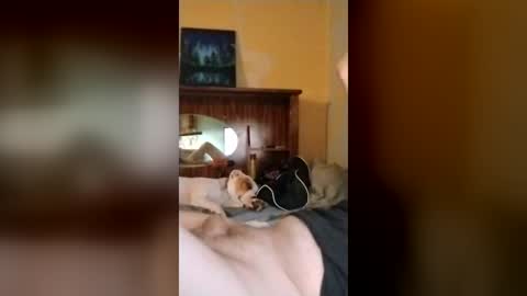 jcors online show from July 6, 5:48 am