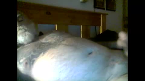 jerkmate6666 online show from May 16, 4:21 am
