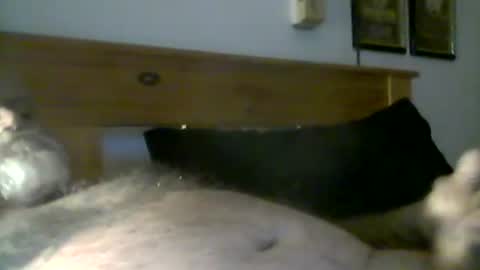 jerkmate6666 online show from May 3, 10:23 pm