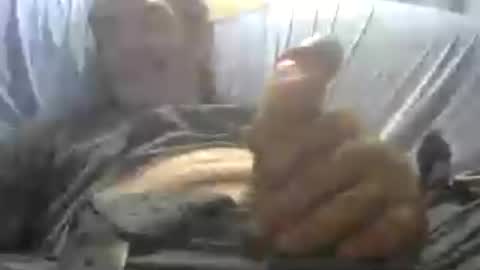 camandplay online show from July 31, 6:39 pm