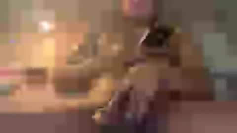 joshnaats online show from June 27, 7:52 pm