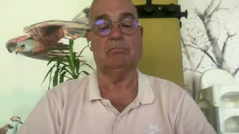 Juan online show from July 14, 5:30 pm