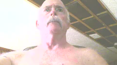 justdon online show from July 14, 2:23 pm