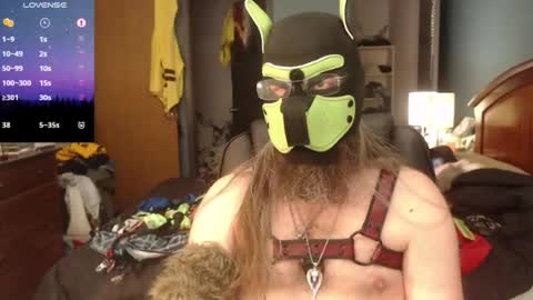 kinkywolf87 online show from June 22, 7:18 pm