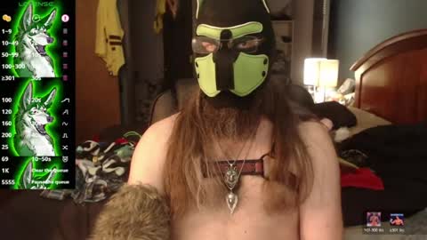 kinkywolf87 online show from June 29, 7:14 pm