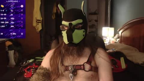kinkywolf87 online show from June 18, 6:57 pm